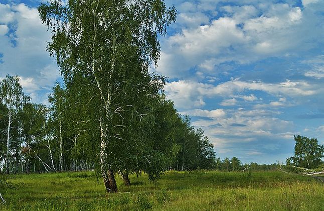 Проезд через мост от Энгельса да Саратова для студентов надо сделать льготным